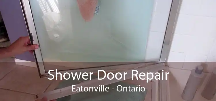 Shower Door Repair Eatonville - Ontario