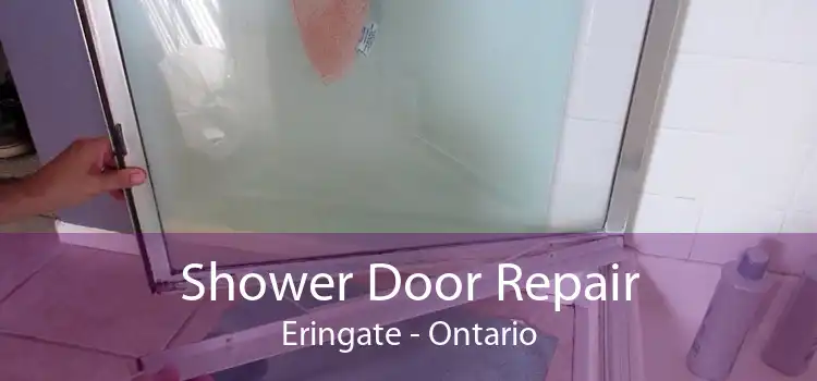 Shower Door Repair Eringate - Ontario