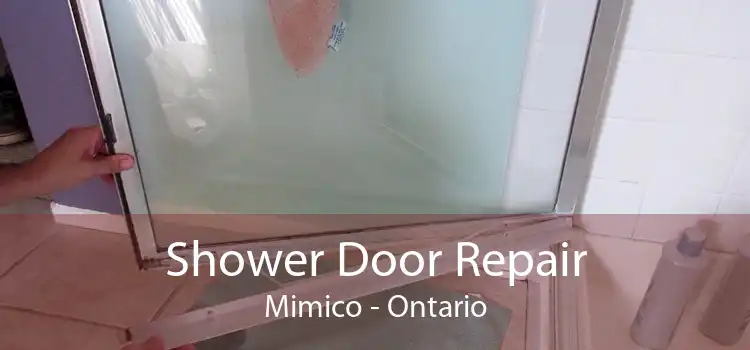 Shower Door Repair Mimico - Ontario