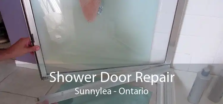 Shower Door Repair Sunnylea - Ontario