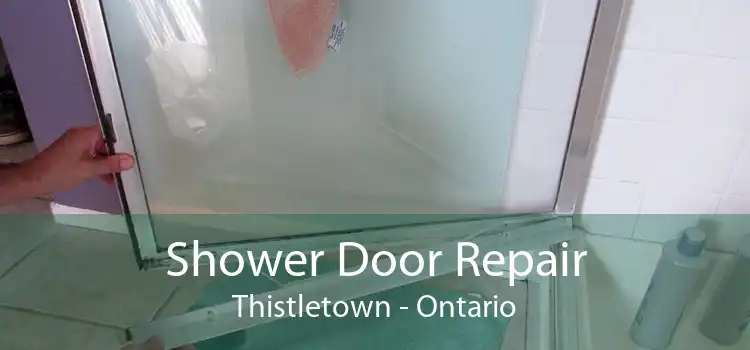 Shower Door Repair Thistletown - Ontario