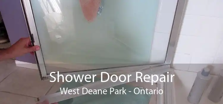 Shower Door Repair West Deane Park - Ontario