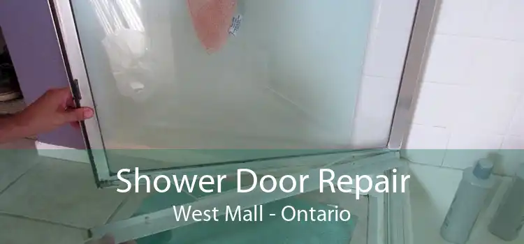 Shower Door Repair West Mall - Ontario