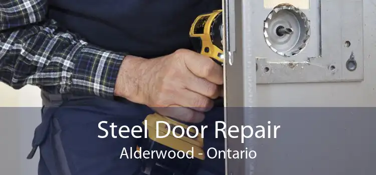 Steel Door Repair Alderwood - Ontario