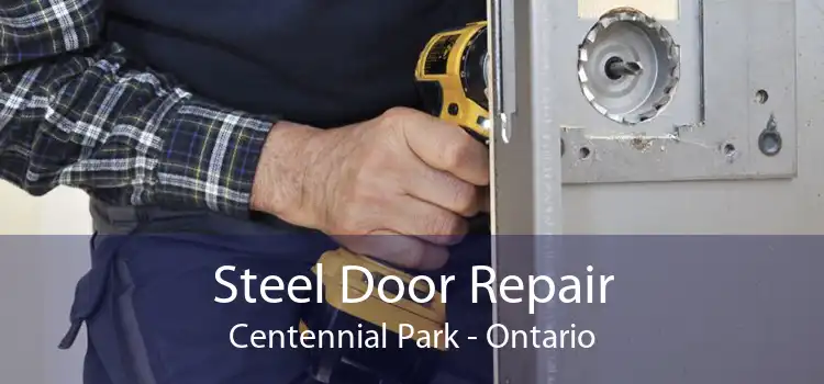 Steel Door Repair Centennial Park - Ontario