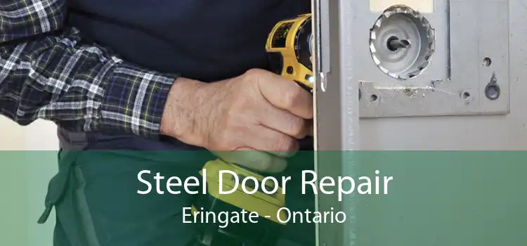 Steel Door Repair Eringate - Ontario