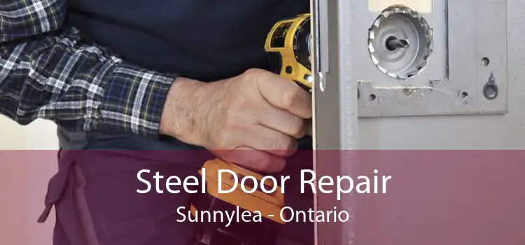 Steel Door Repair Sunnylea - Ontario