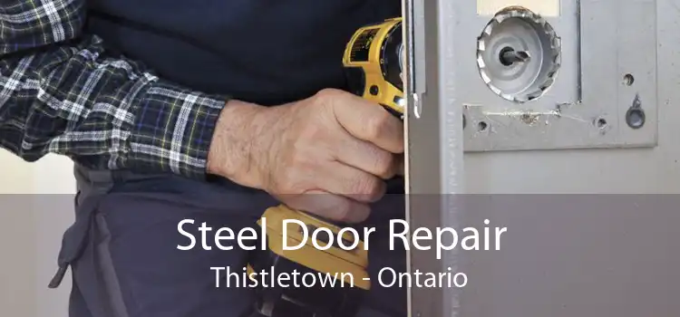 Steel Door Repair Thistletown - Ontario