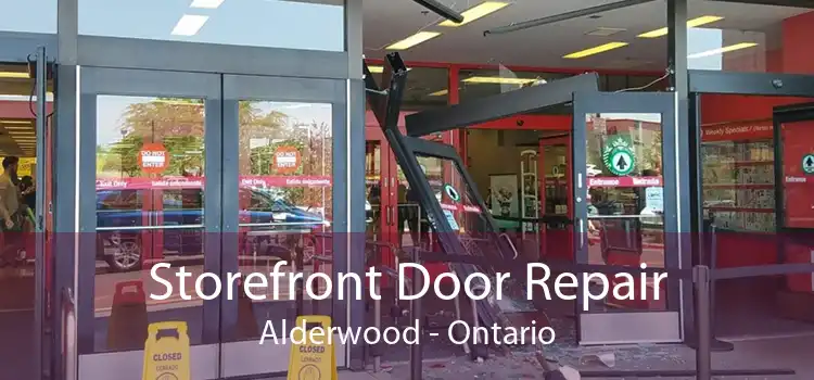 Storefront Door Repair Alderwood - Ontario