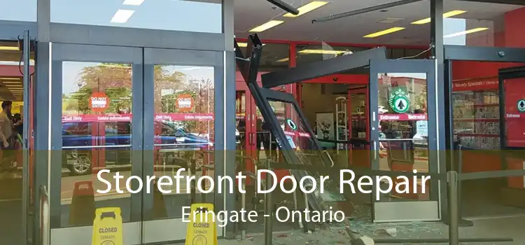 Storefront Door Repair Eringate - Ontario