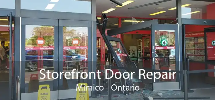 Storefront Door Repair Mimico - Ontario