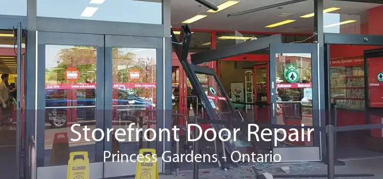 Storefront Door Repair Princess Gardens - Ontario