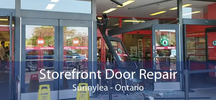 Storefront Door Repair Sunnylea - Ontario