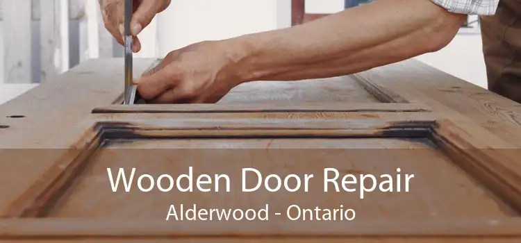 Wooden Door Repair Alderwood - Ontario