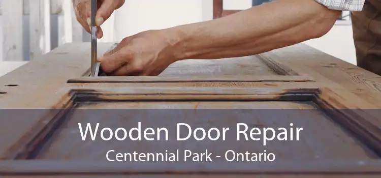 Wooden Door Repair Centennial Park - Ontario