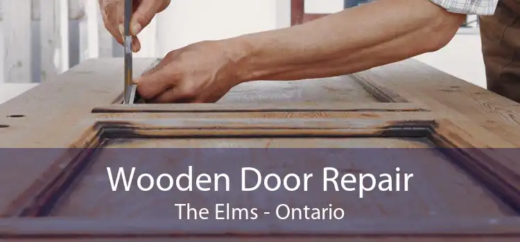 Wooden Door Repair The Elms - Ontario