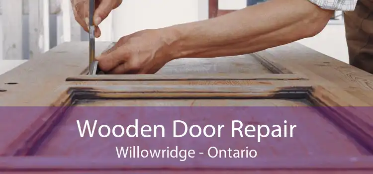 Wooden Door Repair Willowridge - Ontario