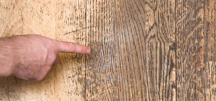 Wood Door Scratch Repair in Eatonville